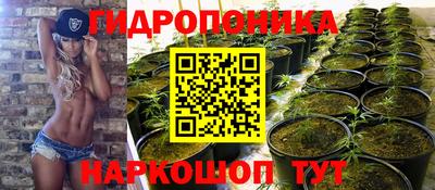 крисы Можайск
