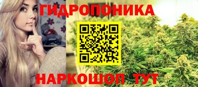 крисы Можайск