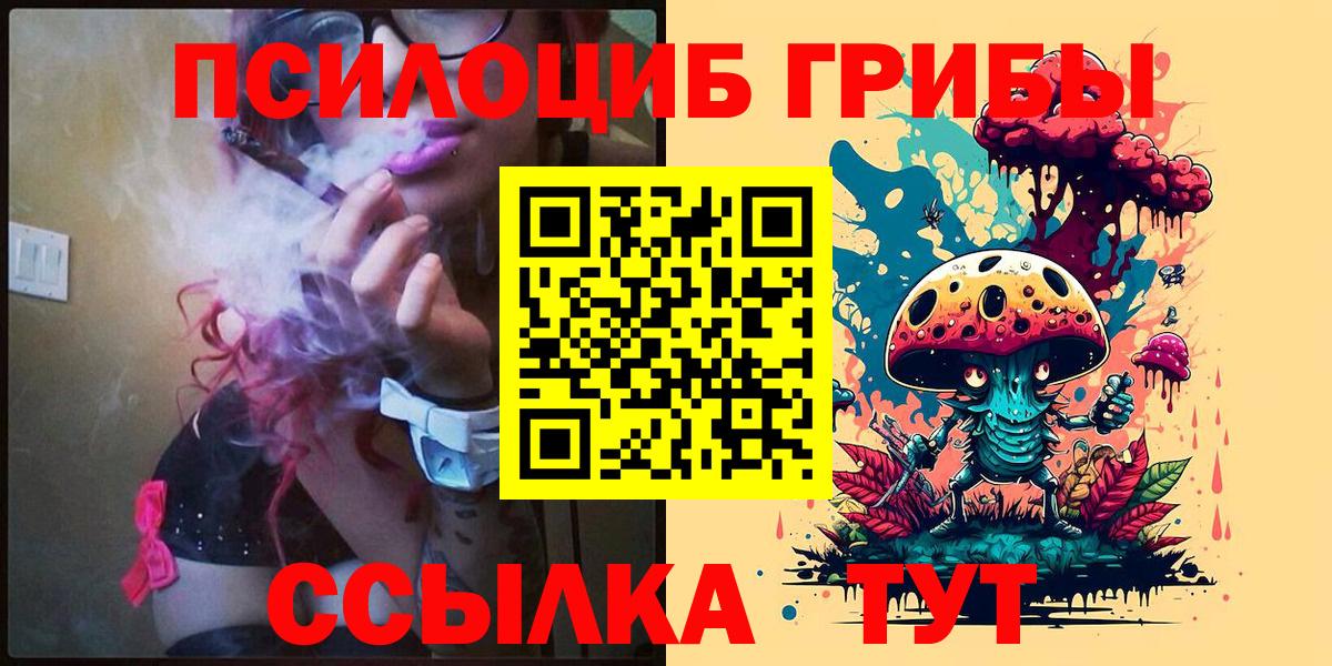 Углич  Галлюциногенные грибы прущие грибы  Вход с VPN 